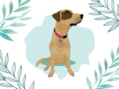 Bonnie the rescued Dog design dog dog illustration illustration wacom intuos