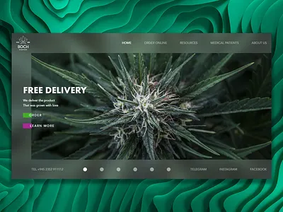 BOCH big bud cannabis care choose delivery free freedom freedome georgia green legalise love medical medical care online order patients resources weed