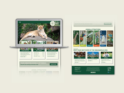 Indy Zoo Website layout advertising animals branding conceptual branding design digital illustration illustrator indianapolis layout lion logo mobile pentool vector web website website design zoo