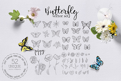 Butterflies illustration butterflies butterfly collection collections flying illustration illustration art illustrations set sticker stickers vector vector art vector illustration