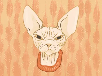 Grumpy Sphynx Cat - Illustration cat illustration creative digital illustration funny cat grumpy grumpy cat hairless cat illustration sphynx sphynx cat texture