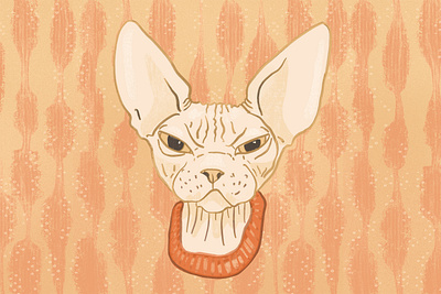 Grumpy Sphynx Cat - Illustration cat illustration creative digital illustration funny cat grumpy grumpy cat hairless cat illustration sphynx sphynx cat texture