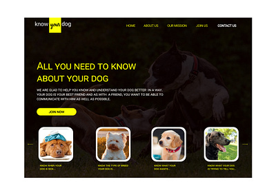 know your dog web design product design ui ui ux web design