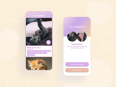 Rescued Cat Matchmaker animal app cat hcd home kitty love match matchingapp matchmaker meeting meow mobile mobile ui paw pet pet care rescue shelter uiux