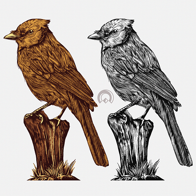 bird bird design designs icon illustration typography vector