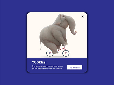 Pop Up / Overlay cookie dailyui design illustration popup ui ux web