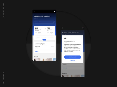 UX Writing 001 | Cancellation Notification app boardingpass cancellation flight flight app mobileapp modal notification servicedesign ui ux uxwriting visual identity