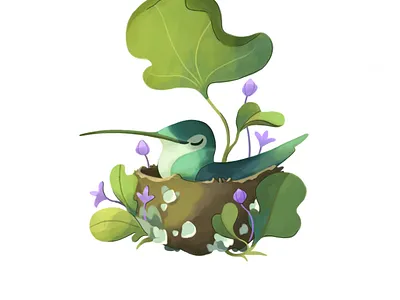 Hummingbird animals design digital illustration illustration ilustración