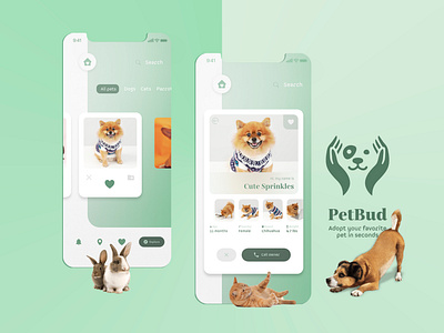 PetBud: A pet adoption app adobe adobexd adoption animal animation app cards daily dailychallenge dailycreativechallenge dailyui design freelancer inspiration livestreaming minimal mobile pets prototype swipe