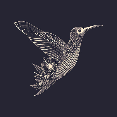 The Flying Colibri. Illustration 2020. artwork design flat graphicdesign illustrator photoshop vector