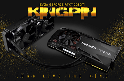 EVGA GeForce RTX 2080Ti KPE article branding evga graphics card header kingpin nvidia