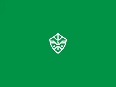 ZeldaGuide Logo (Unused Mark) branding branding and identity freelance designer logo visual identity zelda