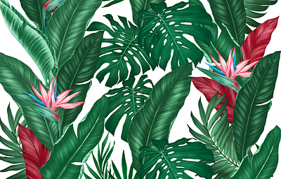 Tropical Wallpaper drawings illustration procreate tropical wallpaper