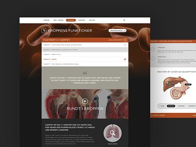 ALINEA alinea education educational landingpage ui web webdesign