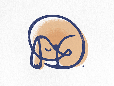 Sleeping dachshund graphic design illustration