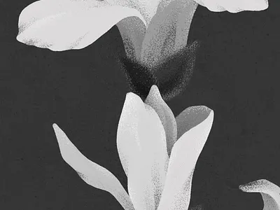 healing blackandwhite cure feminist art flower girl illustration love ptsd selfhealing time together