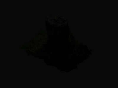 Photogrammetry Test - Souche