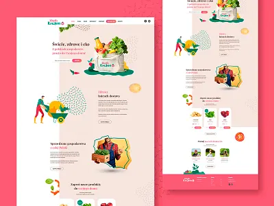 Wiejski kredens sp2 ecology ecommerce food illustration shop ui vector web webdesign