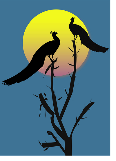 Peacock and Sunset design digital drawing illustration karthickyuvan vector