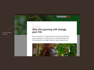 #OrangutanFreedom Webdesign & Development berlin berlin freelance branding campaign design design designer freelance freelance designer front end design front end development ngo orangutan ui ux uxdesign uxdesigner web web design website website design