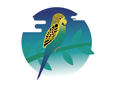 Amigo adobe illustrator bright colors budgie flat illustration gradients halftone illustration limited colour palette pet portrait vector art