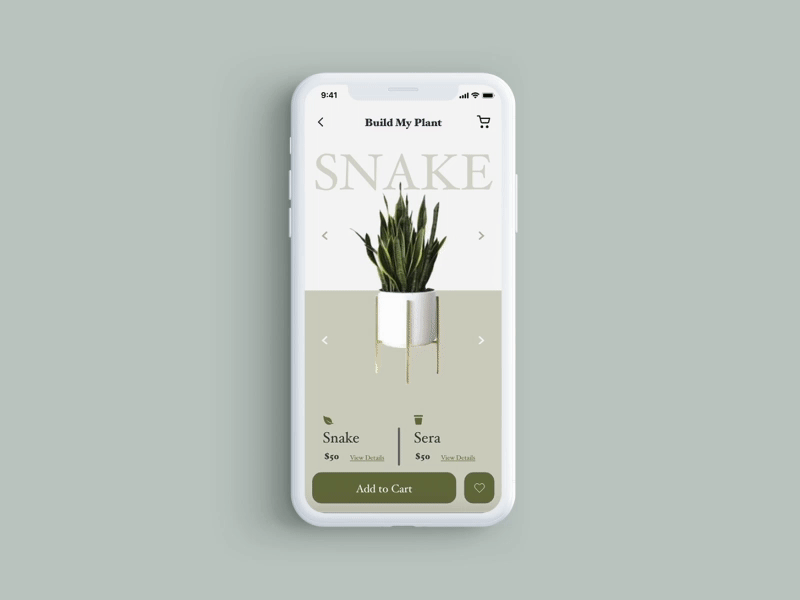 Pick Your Plant. Planter App aftereffect animation app branding design gif illustration modern motiongraphic ui