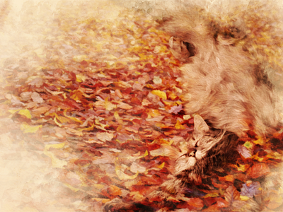 Autumn dreams autum autumn leaves cat doubleexposure paint photo photography photoshop practice textured textures