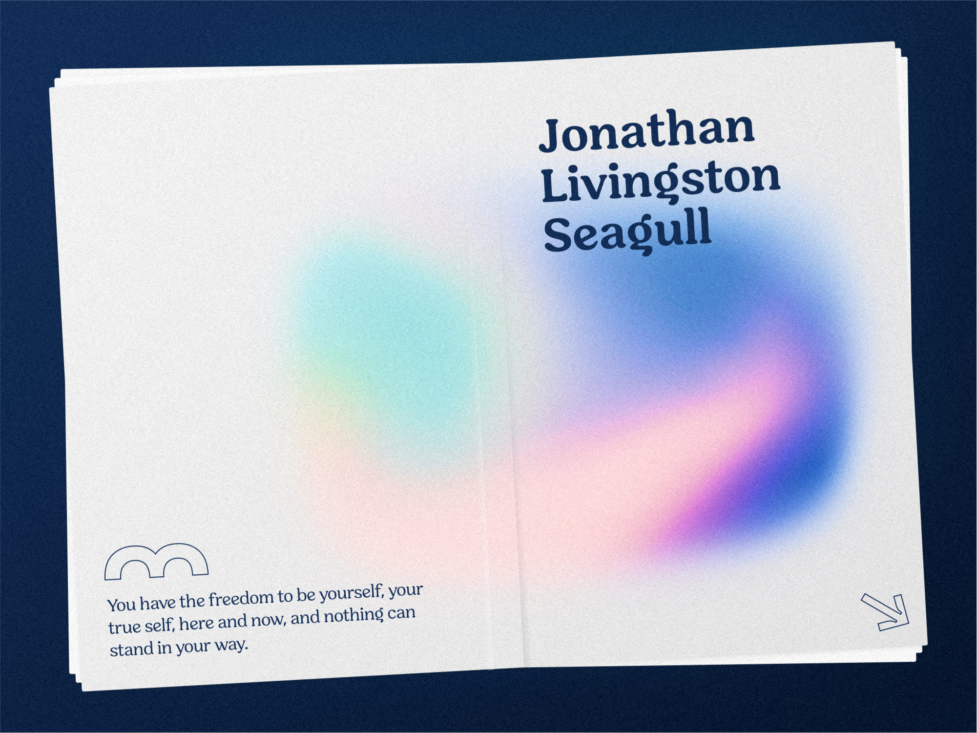 Example of Jonathan Livingston Seagull