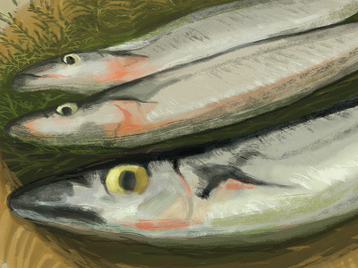 Pacific saury food illustration