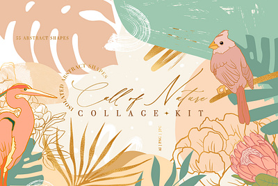 Call of Nature Collage Kit abstract birds branding clipart collage creative decor decorative flowers illustration seamlesspattern texture vector