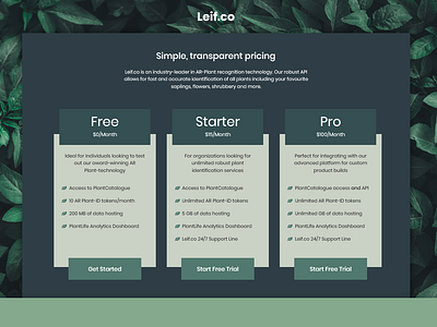 UI Challenge 30: Pricing animal crossing dailyui dailyuichallenge design pricing pricing page pricing plan pricing plans pricing table ui