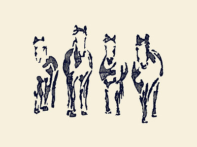 Cuacos horse cuacos texashillcountry