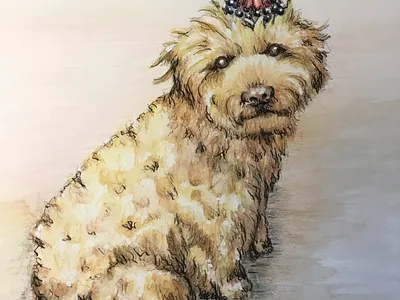 Watercolor Paintings of Pets design illustration