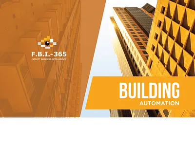 Branding Creative Process for FBI 365 brand book brand guidelines brand identity design branding agency branding designs logo design style guide stylescape