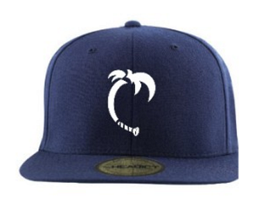 Baseball Central alt lid 2