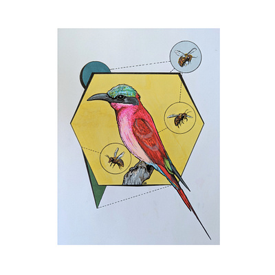 The Bee Eater bees conceptual drawing illustration logo