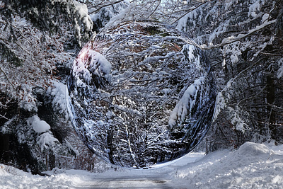 Sphere en verre forest hiver snow