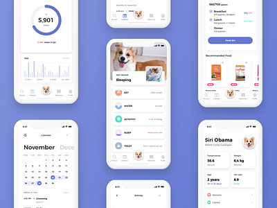 Pets Health Care App adobe xd care flat health health app pets sketch ui uiux