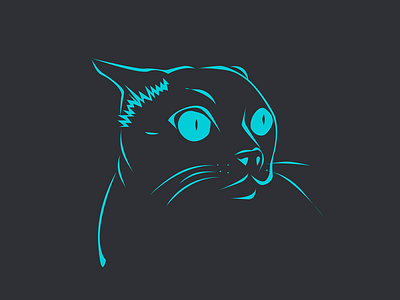 meme cat cat meme