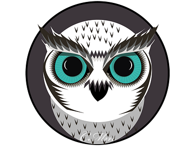 owl illustration logo owl