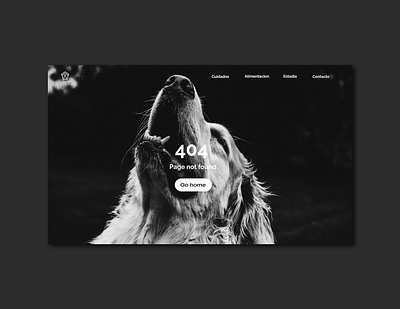 Daily Challenge #008 Page 404 app design ux vector