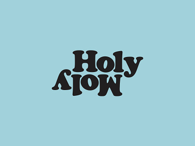 Holy Moly branding design illustration logo