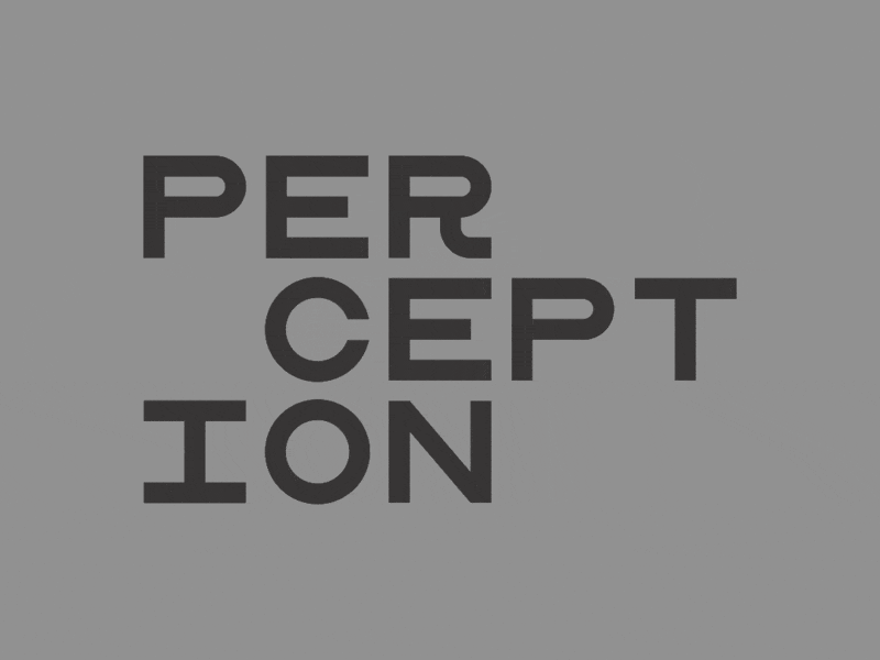 Perception animation branding design logo typography