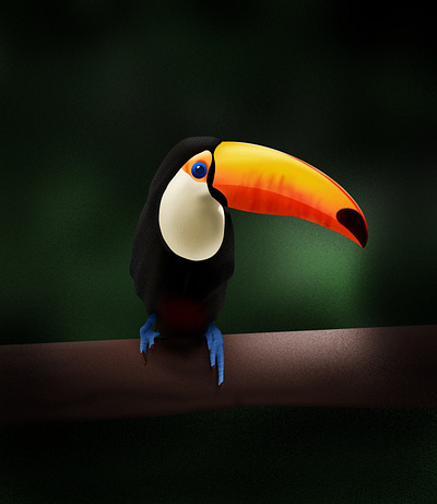 Toucan Drawing drawing green illustration jungle toucan yellow