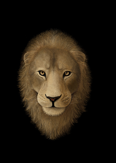 Lion - Digital Illustration apple pencil digital illustration ipad pro