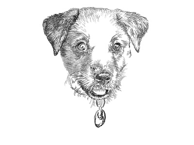 Puppy birthday black and white business illustration design digital art digital illustration dog graphic design illustration minimalist pen and ink pet portrait portrait puppy sketch