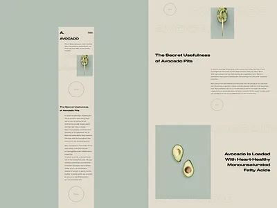 Concept Avocado design figma figmadesign figmotion minimalism typography ui ux web webdeisgn website
