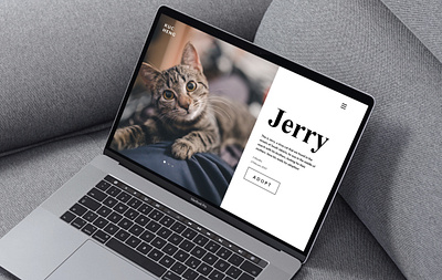 Cat Adoption Website adoption cats kittens landing page ui design web design