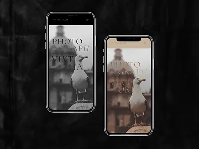 Portfolio site for photographer Victoria app branding design flat illustrator logo typography ui web website