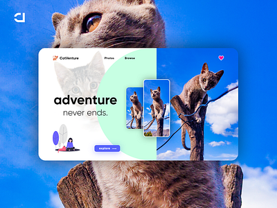 CatVenture - Cat on Adventure adobe illustrator adobe photoshop cat cats catskills digital illustration landing page landing page design photo gallery photography slider slideshow web design web designer website design wild cat wild life